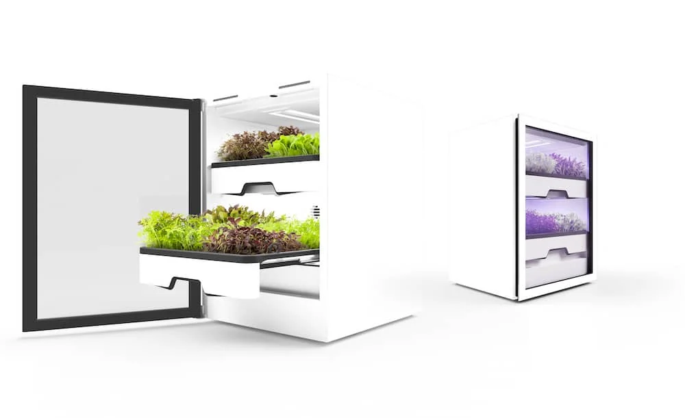 Anzeige: Gemüse im Wohnzimmer anbauen mit dem agrilution plantCube